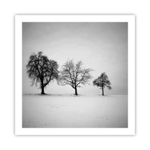 Plakat - Hvad drømmer de om? - 60x60 cm