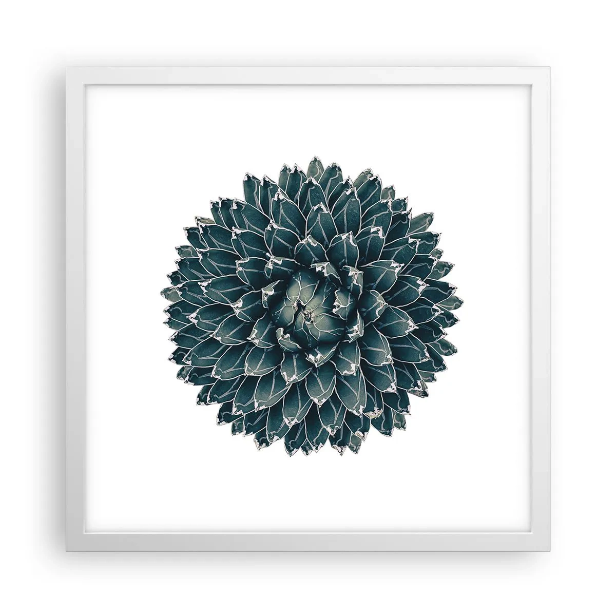 Plakat i hvid ramme - Ørkenstjerne - 40x40 cm