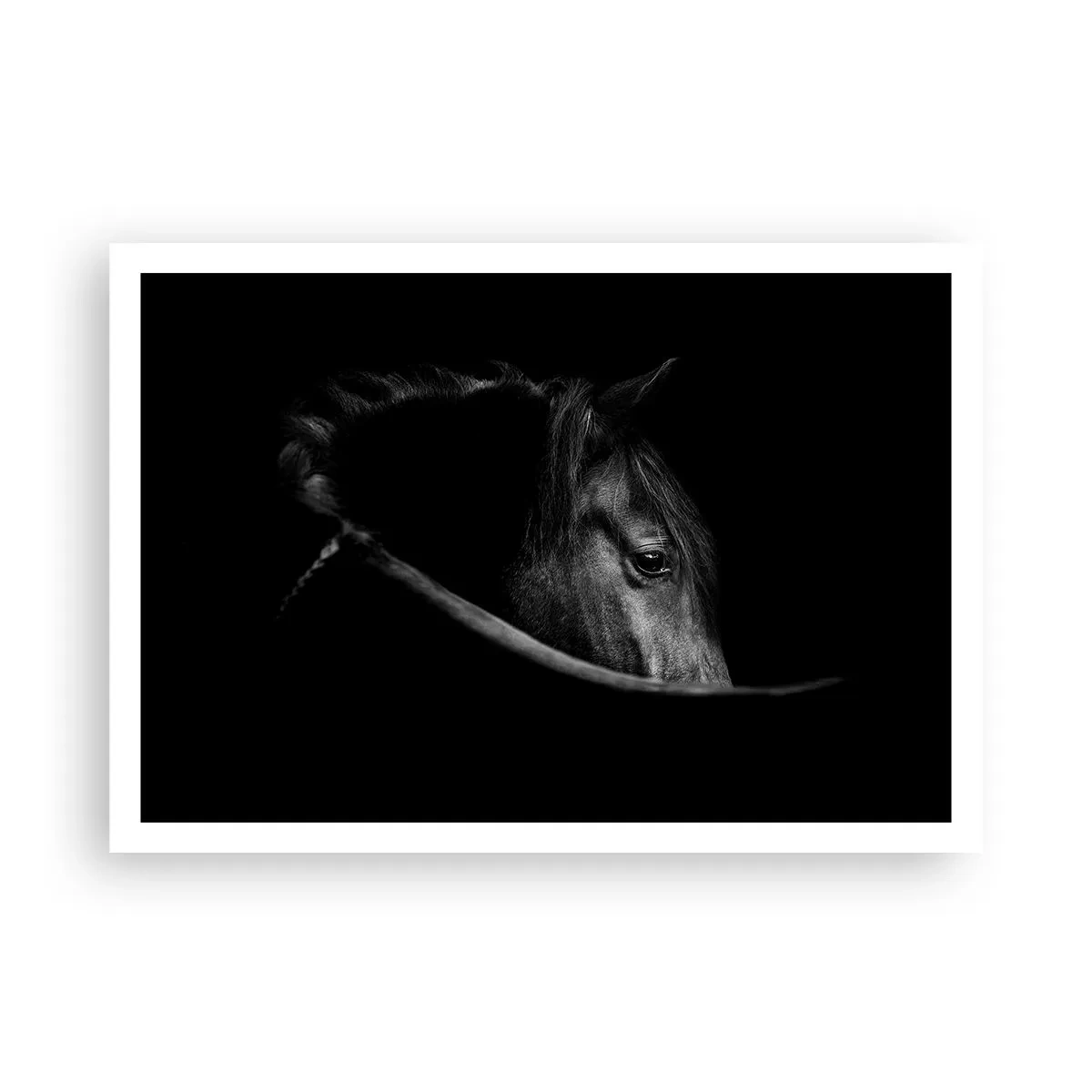 Plakat - Sort prins - 100x70 cm