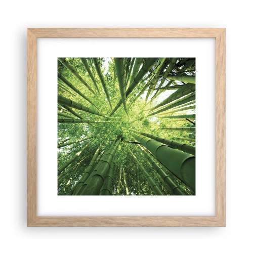 Plakat i ramme af lyst egetræ - I en bambuslund - 30x30 cm