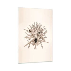 Billede på glas - Blomstrende i dans - 80x120 cm