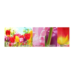 Prøve Fototapet Premium Sand - Det er os, maj måneds farver! - Blomster, Tulipaner, Have - 100x30 cm