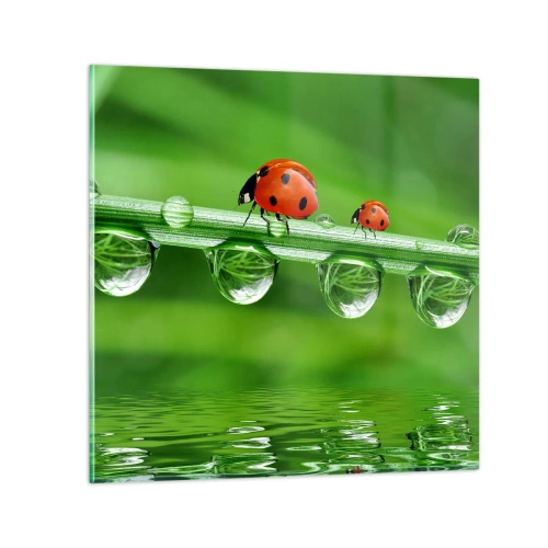 Billede på glas - På farten hele sommeren - 50x50 cm