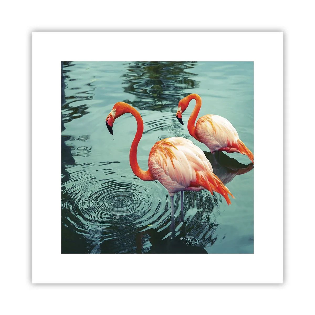 Plakat - Vi er nu på mode - 30x30 cm