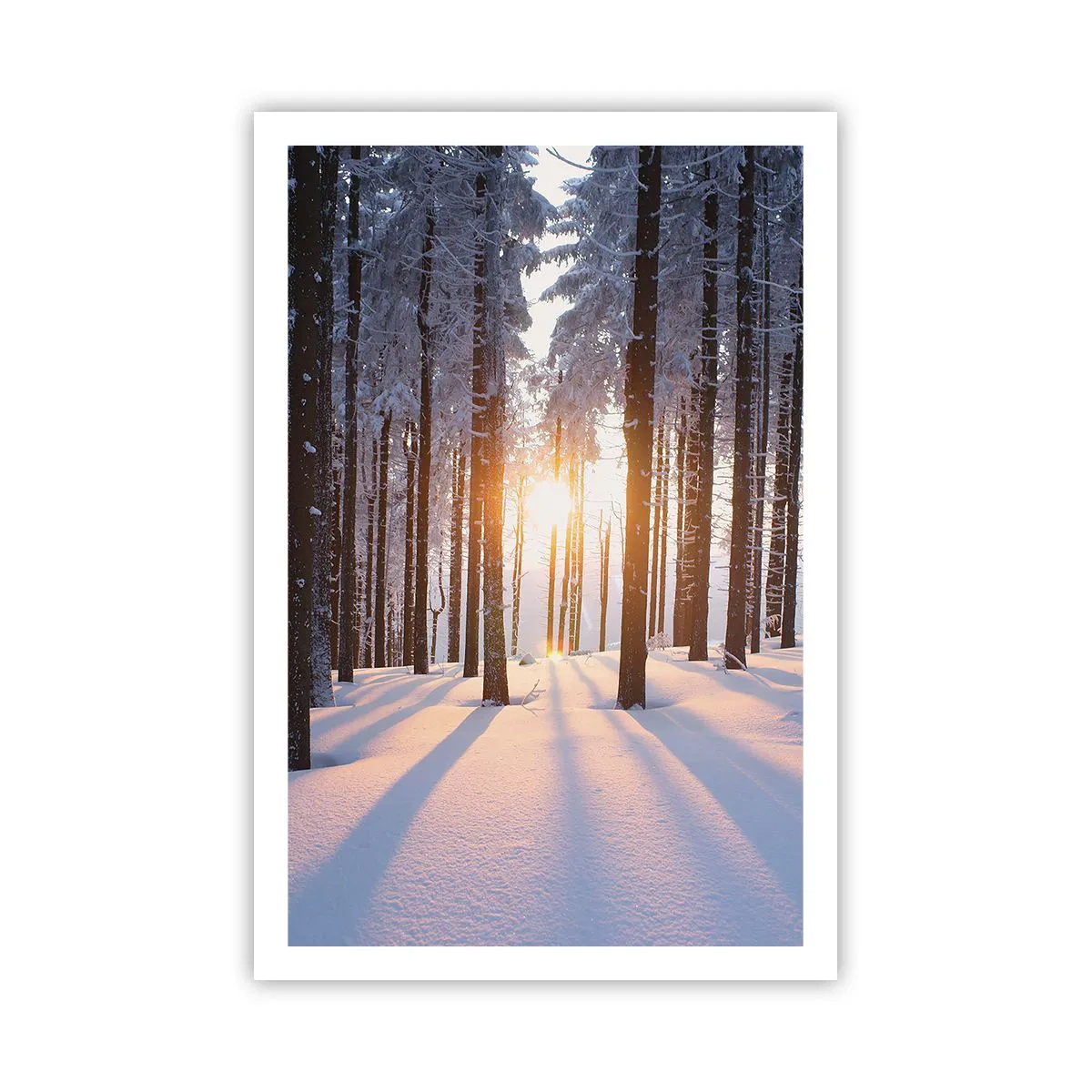 Plakat - Klart i sort og hvidt - 61x91 cm