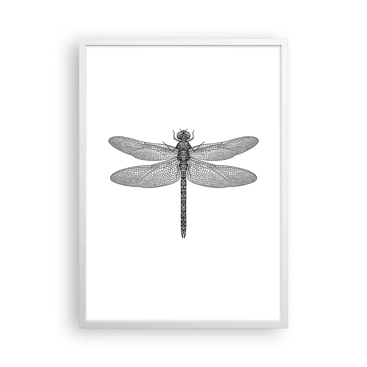 Plakat i hvid ramme - Præcision i naturen - 50x70 cm