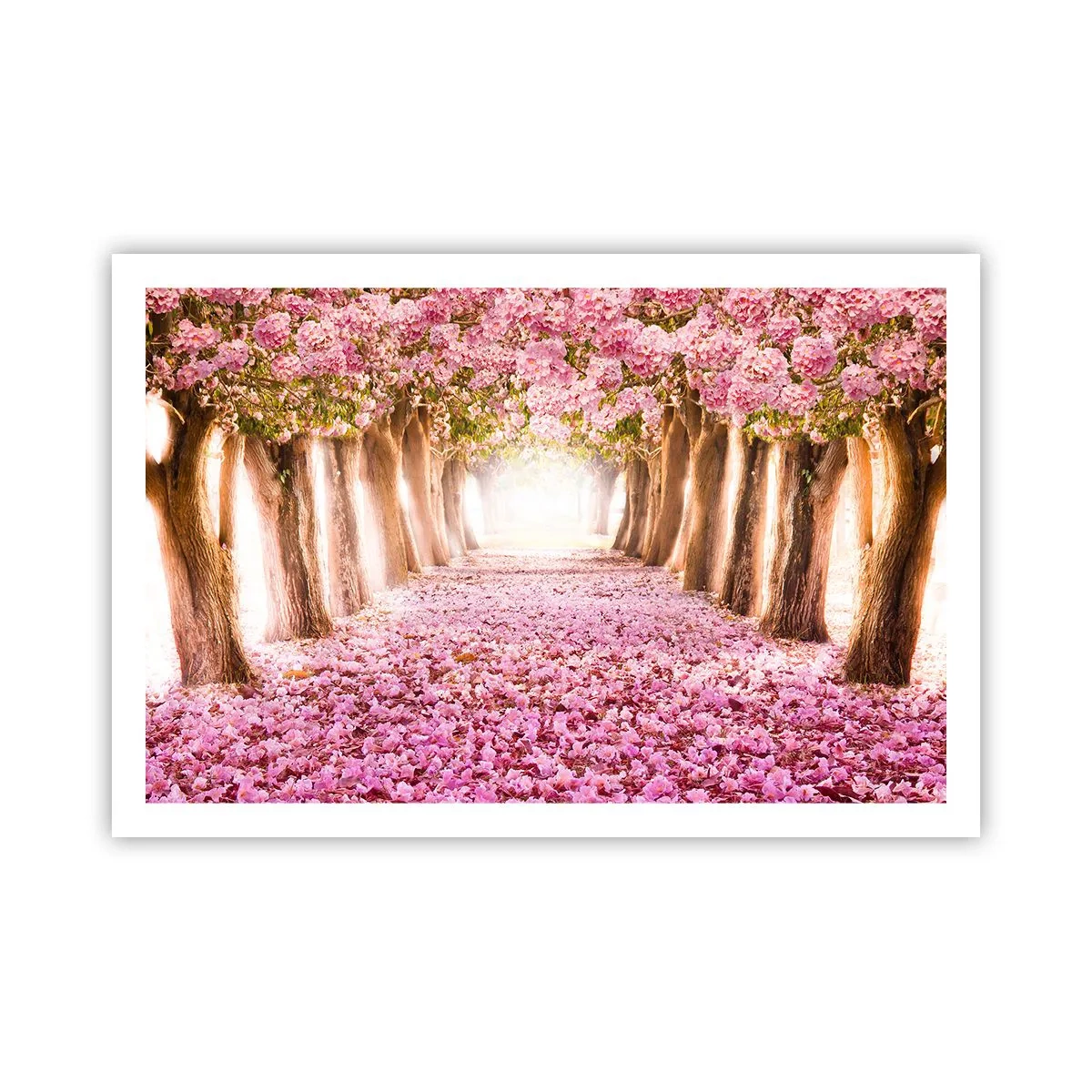 Plakat - Vejen til paradis - 91x61 cm