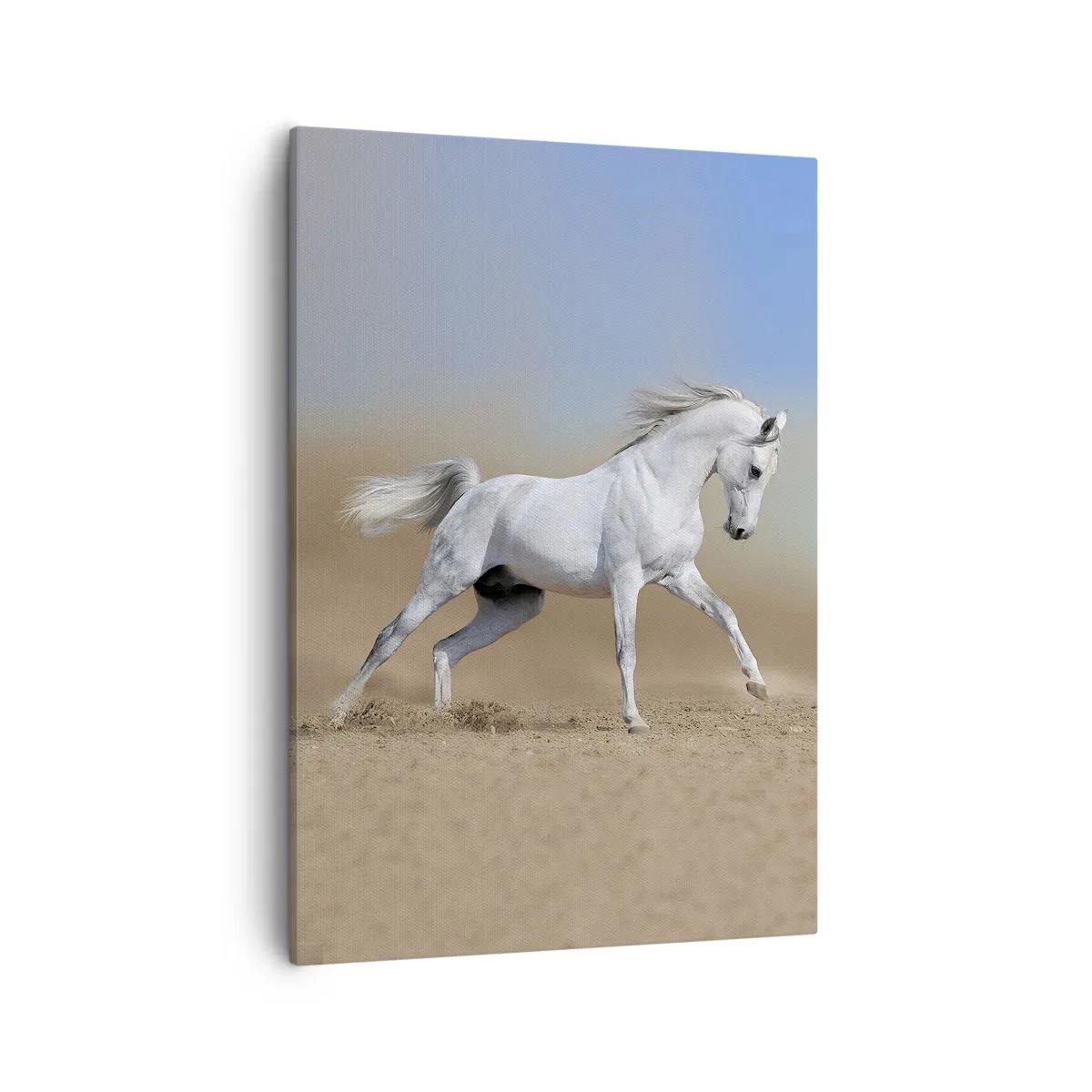 Lærredstryk - Billede på lærred - Den smukkeste arabiske fortælling - 50x70 cm