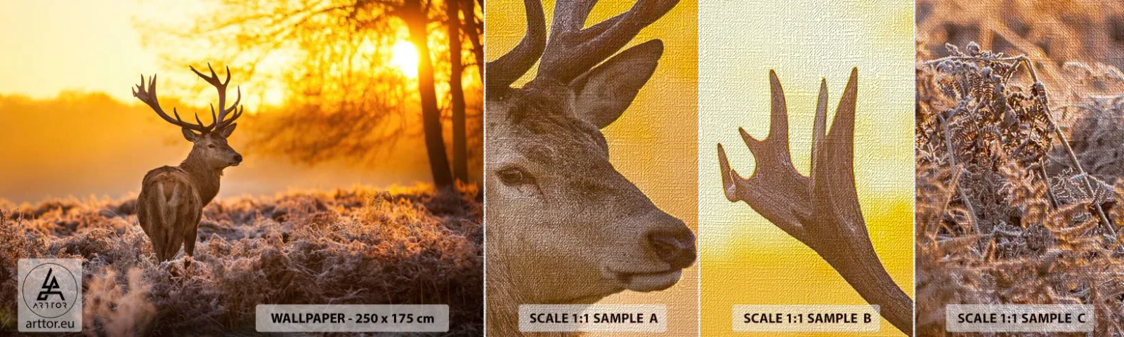 Prøve Fototapet Premium Canvas - Kongen af efterårsskoven - Landskab, Hjort, Natur - 100x30 cm