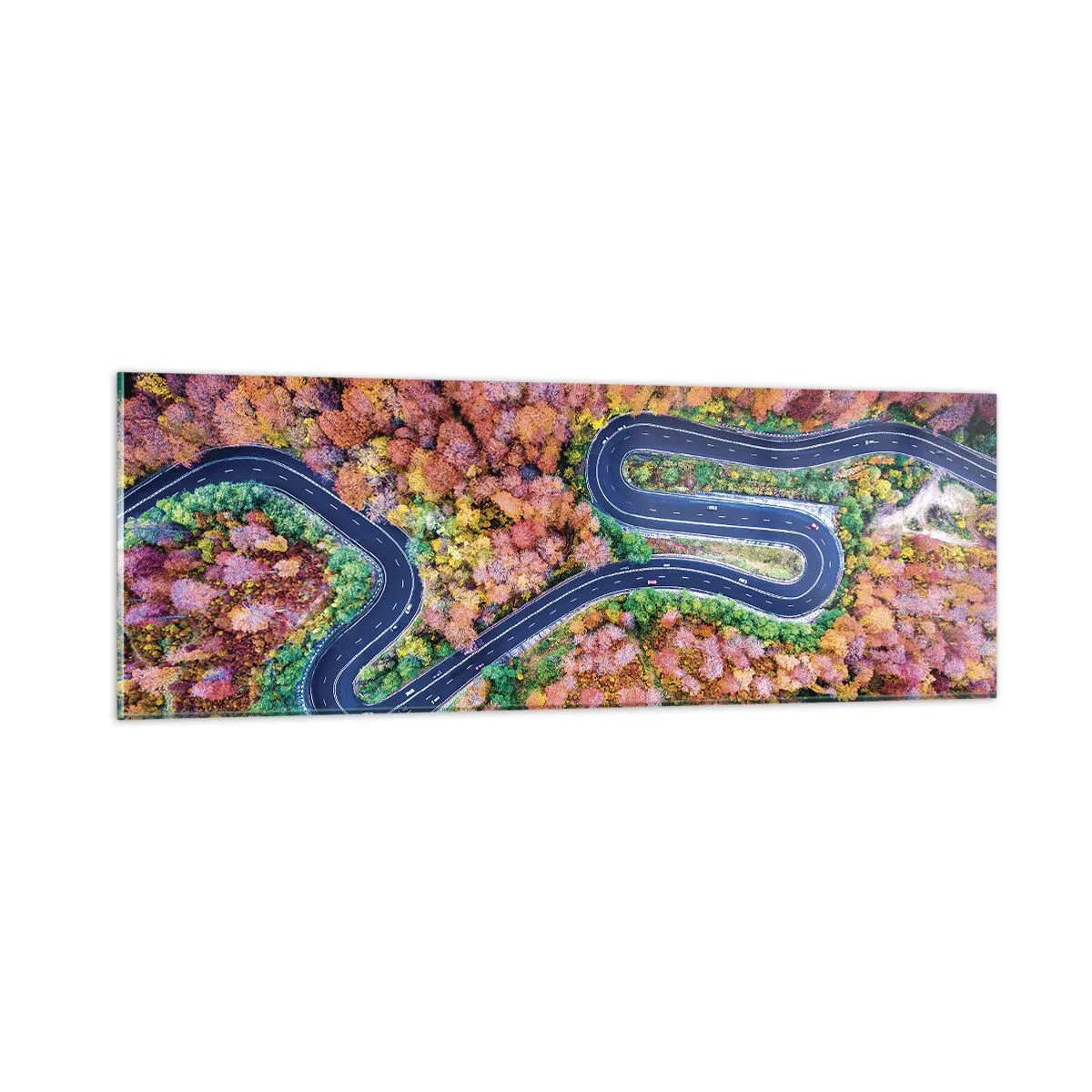 Billede på glas - En snoet vej gennem skoven - 90x30 cm