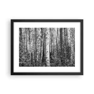 Plakat i sort ramme - Kolonnade af birk - 40x30 cm