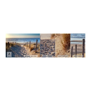 Prøve Fototapet Premium Sand - Havet brummer, fuglene synger, en vild strand midt i græsset.... - Landskab, Strand, Klitter - 100x30 cm