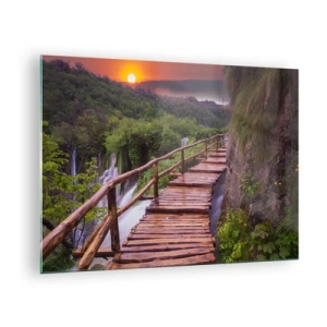 Billede på glas - En træsti blandt grønne områder ved solnedgang - 70x50cm - En utrolig skønhed - Moderne vægdekoration til stue og soveværelse ARTTOR