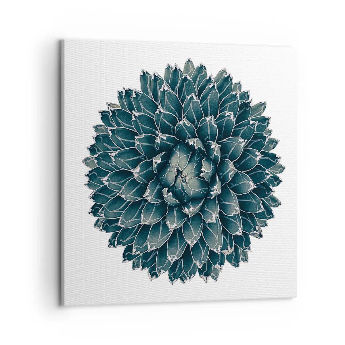 Lærredstryk - Billede på lærred - Ørkenstjerne - 50x50 cm
