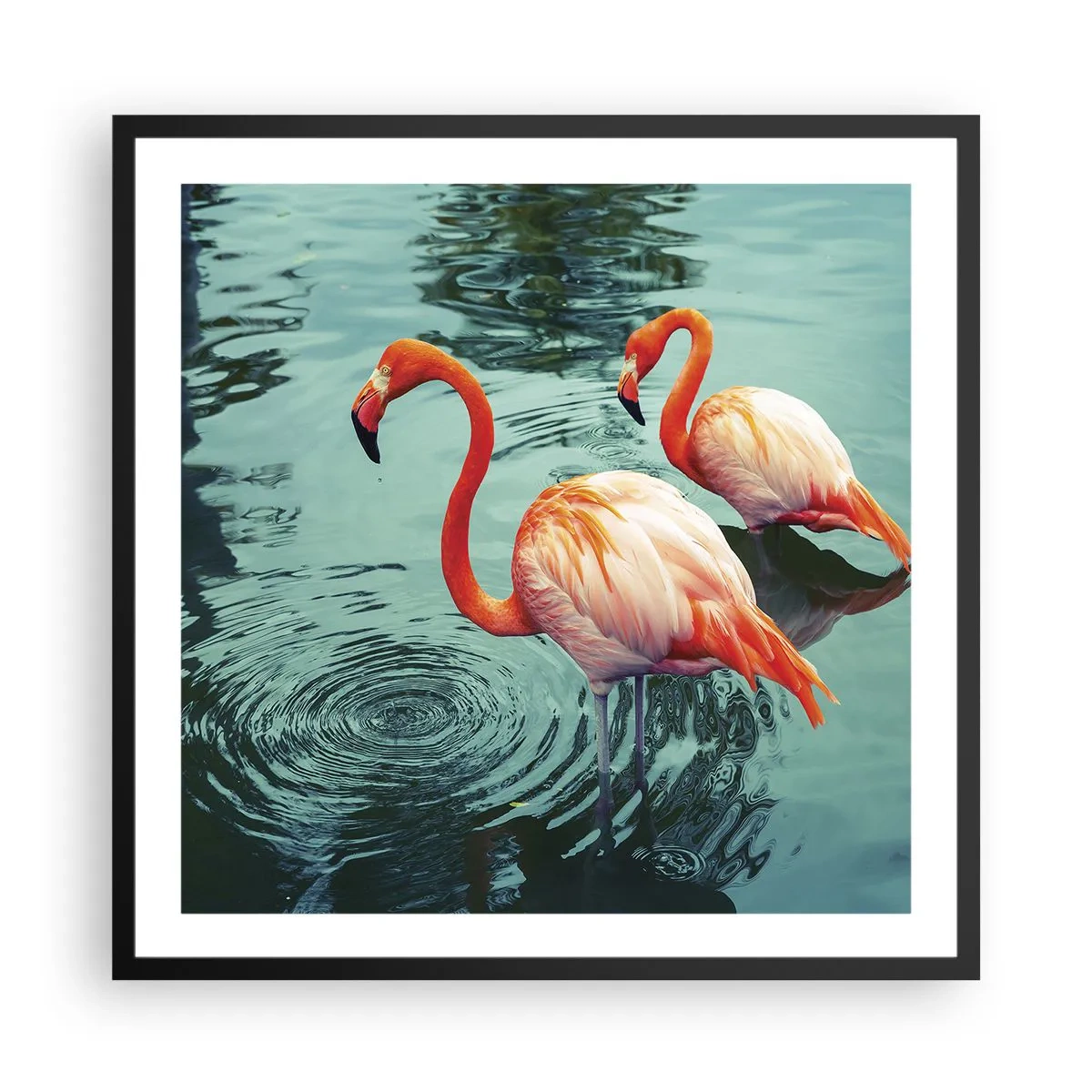 Plakat i sort ramme - Vi er nu på mode - 60x60 cm