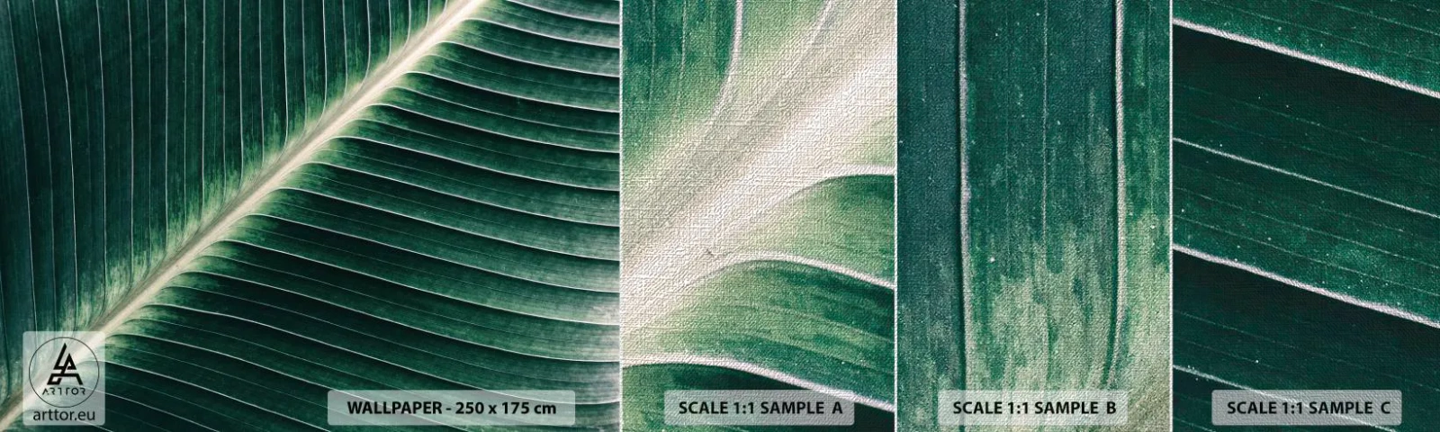 Prøve Fototapet Premium Canvas - Naturens rytme - Abstraktion, Grønt blad, Grafik - 100x30 cm