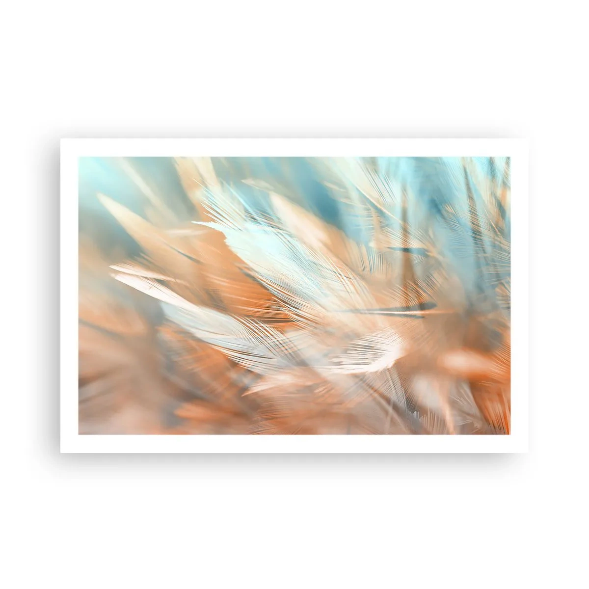 Plakat - I mildhedens land - 91x61 cm