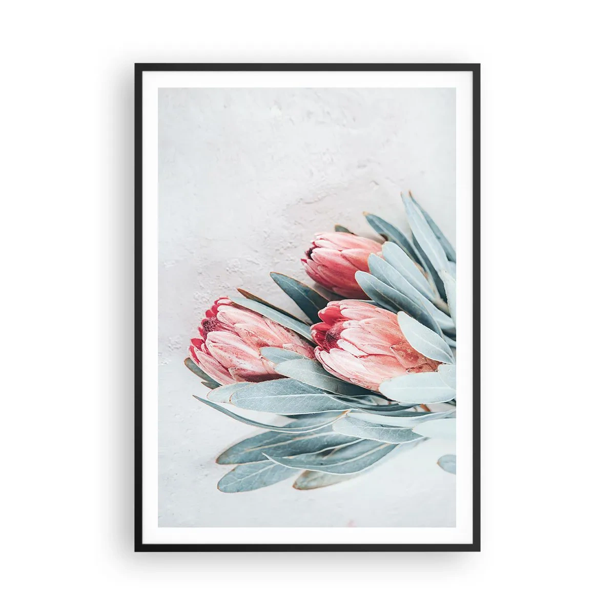 Plakat i sort ramme - Skammer sig over deres egen skønhed - 70x100 cm