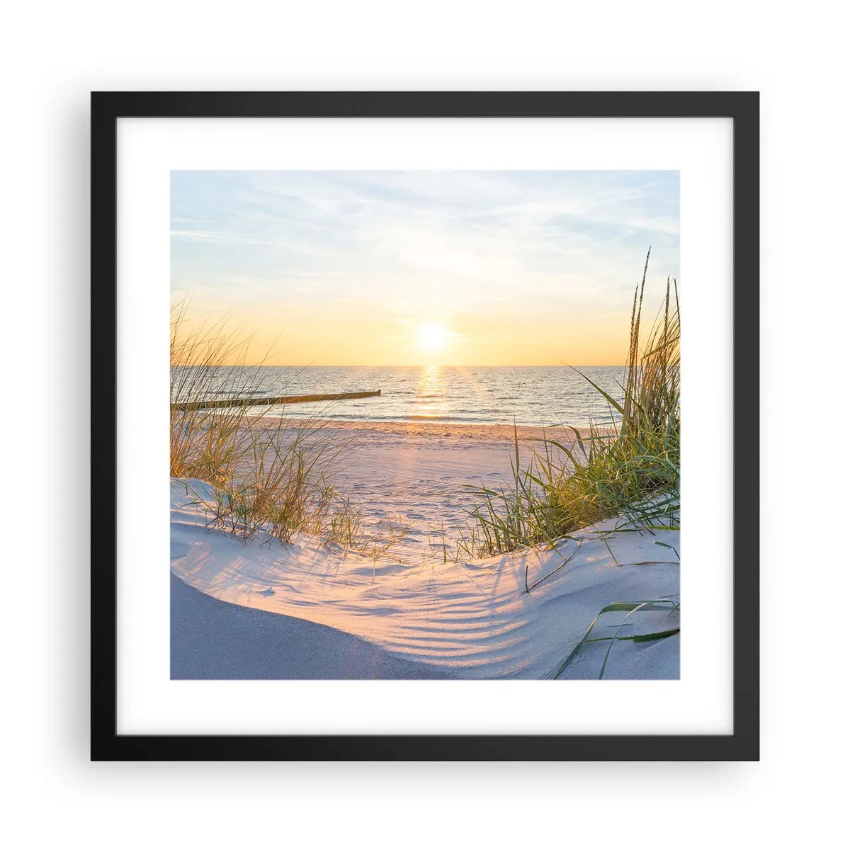 Plakat i sort ramme - Havet brummer, fuglene synger, en vild strand midt i græsset.... - 40x40 cm