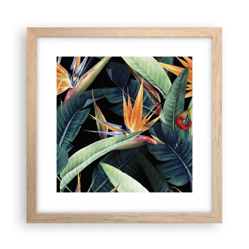 Plakat i ramme af lyst egetræ - Flammeblomster i troperne - 30x30 cm