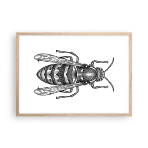 Plakat i ramme af lyst egetræ - Fra en insektplanet - 70x50 cm