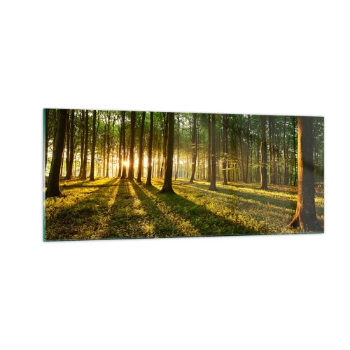 Billede på glas - Fotografering af alle fjedre - 100x40 cm