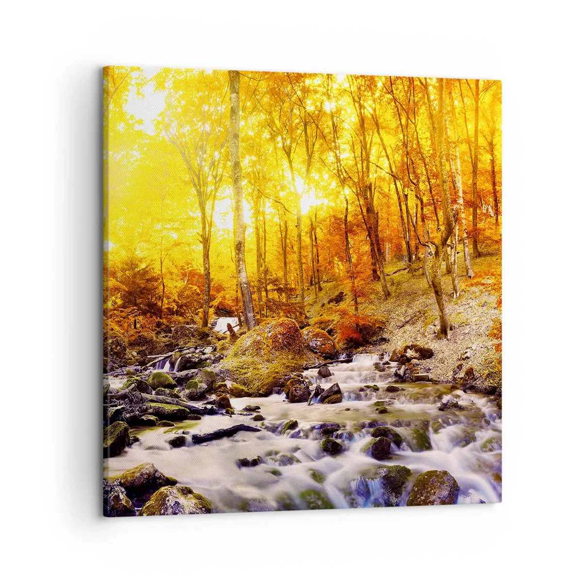 Lærredstryk - Billede på lærred - Sten indfattet i guld og platin - 50x50 cm