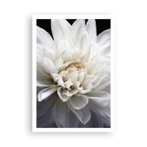 Plakat - Morgenbrud - 70x100 cm