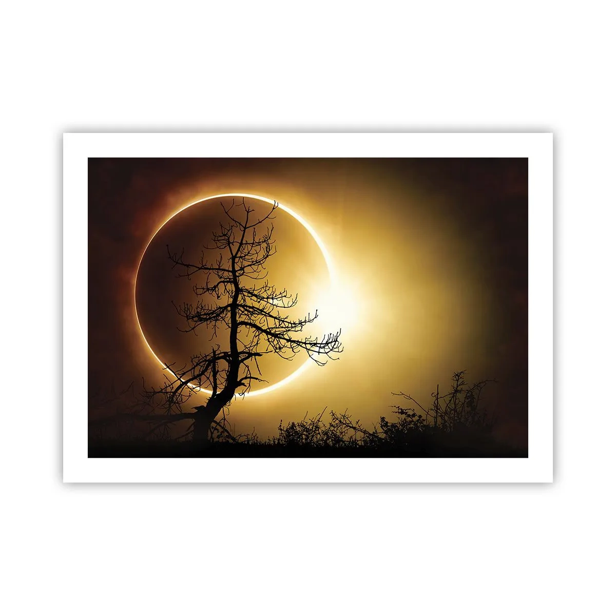 Plakat - Total formørkelse - 70x50 cm