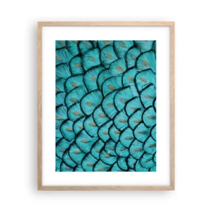 Plakat i ramme af lyst egetræ - Den store fjer-galla - 40x50 cm