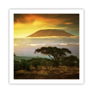 Plakat - En rejsendes drøm - 60x60 cm