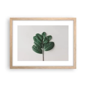 Plakat i ramme af lyst egetræ - Tegning af selve naturen - 40x30 cm