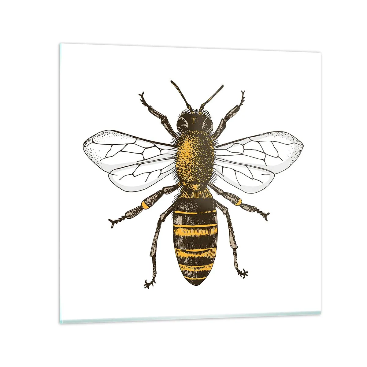 Billede på glas - Smuk og god - 70x70 cm