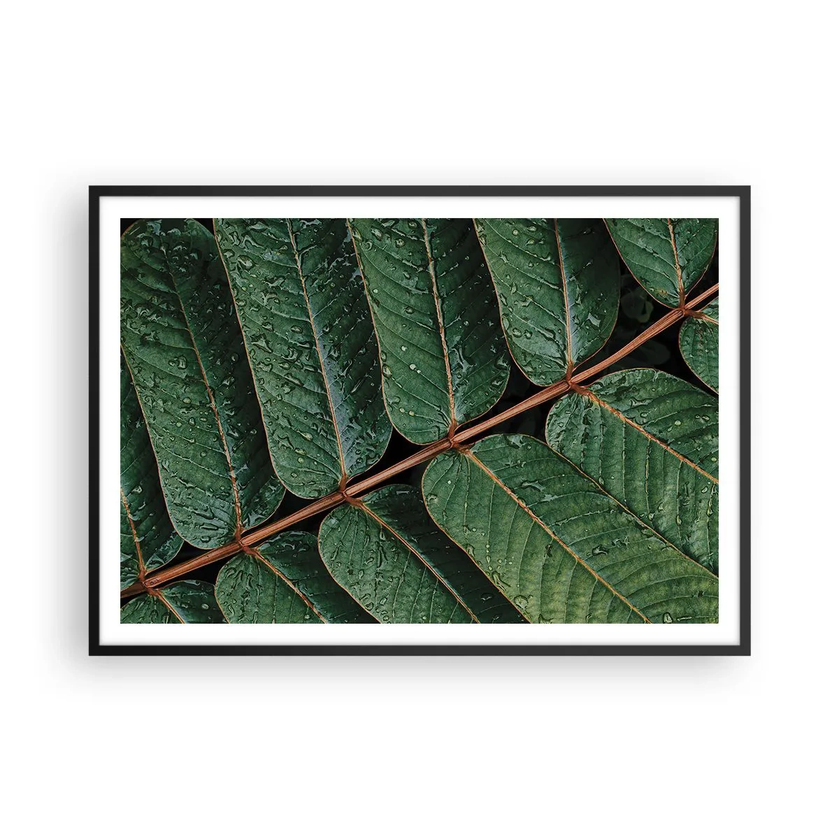 Plakat i sort ramme - I en grøn rytme - 100x70 cm