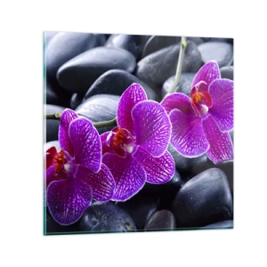 Billede på glas - Stenene lyste op af glæde - 30x30 cm