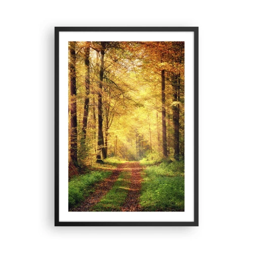 Plakat i sort ramme - En skovsti i lyset af den gyldne efterårssol - 50x70cm - Skovgylden stilhed - Moderne vægdekoration til stue og soveværelse ARTTOR