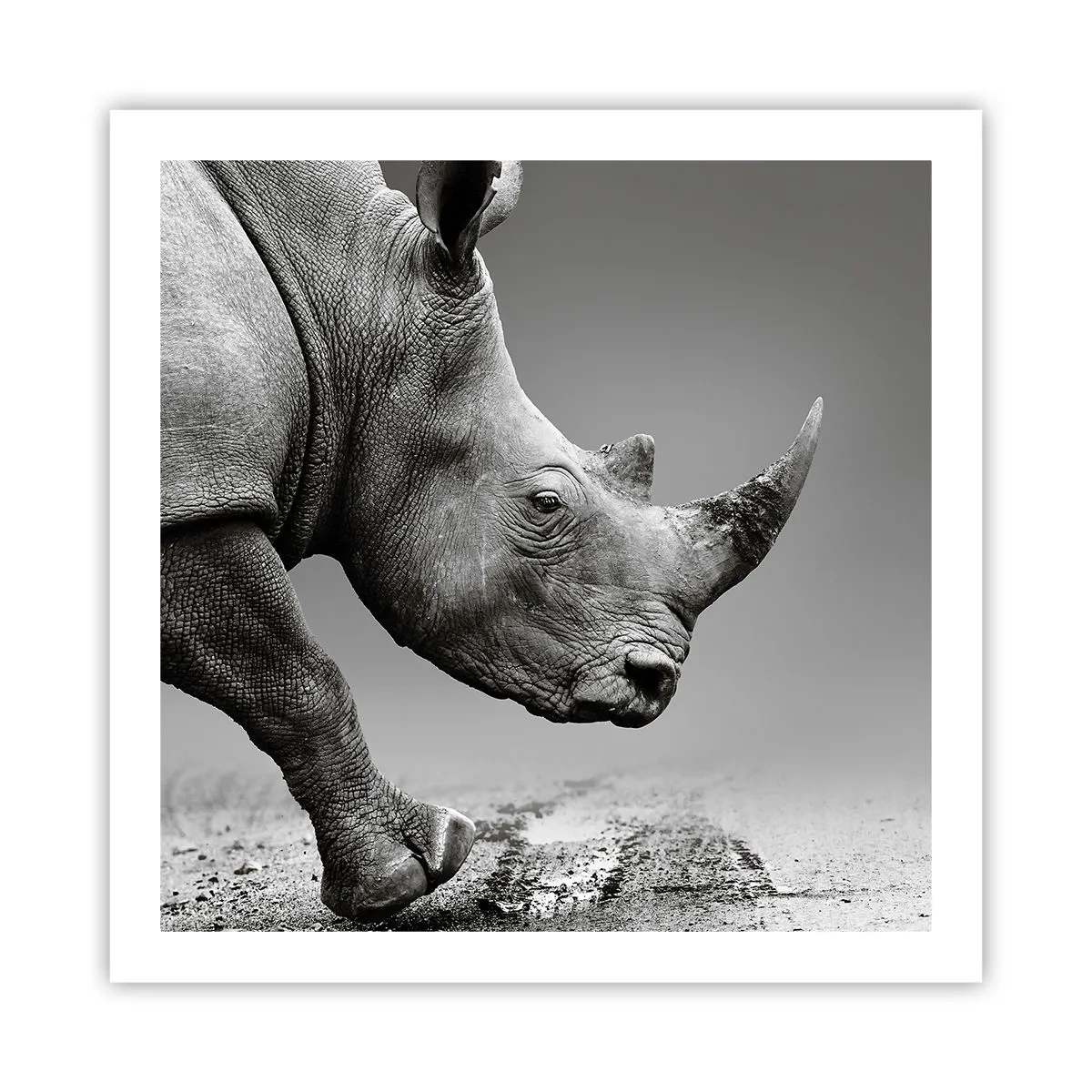 Plakat - En ustoppeli - 60x60 cm