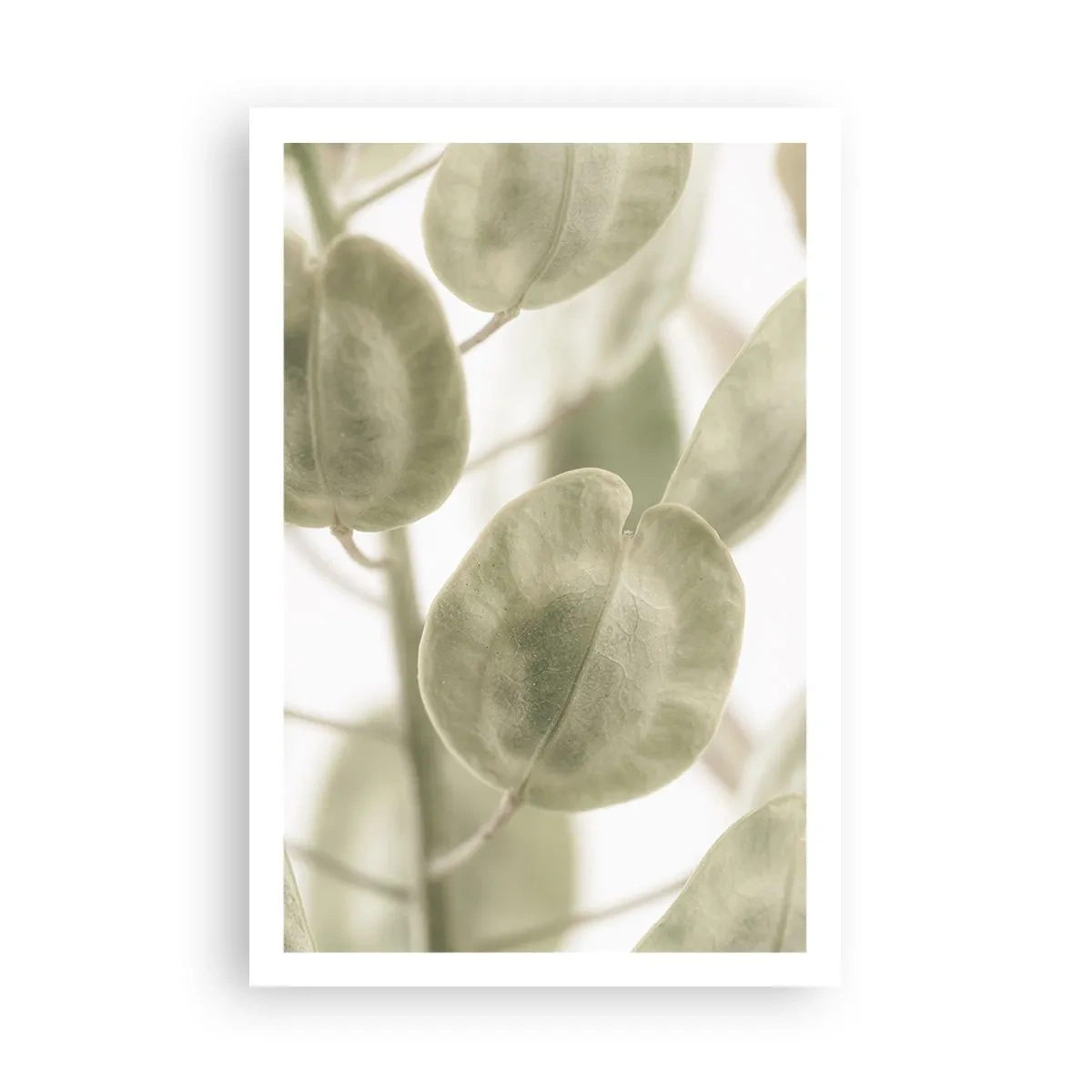 Plakat - I begyndelsen var der blade... - 61x91 cm