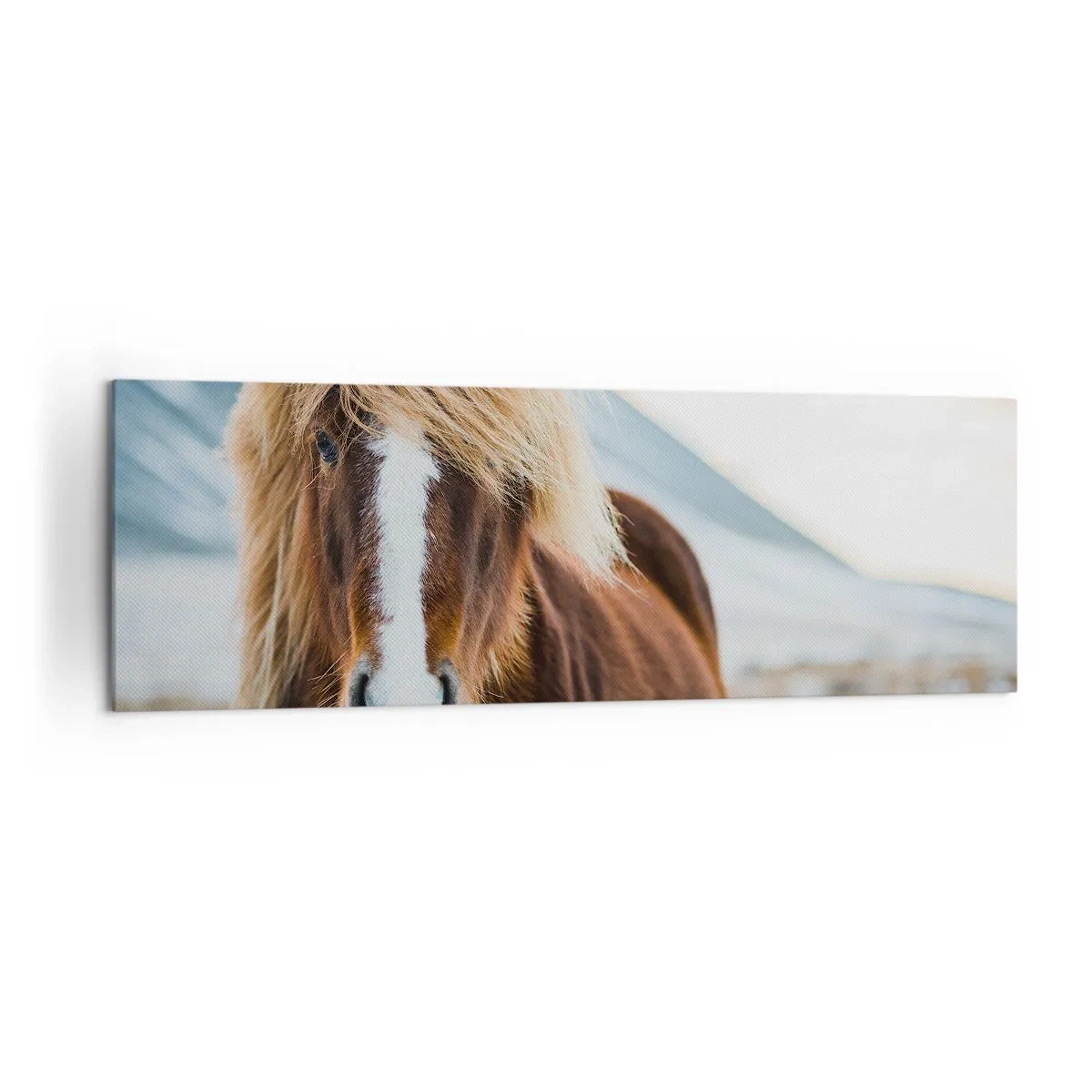 Lærredstryk - Billede på lærred - Kan du mærke friheden? - 160x50 cm