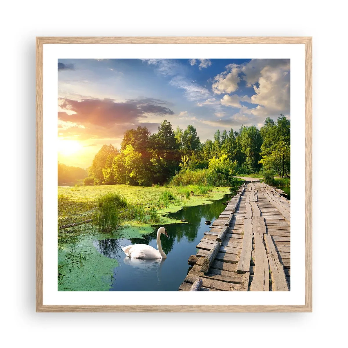 Plakat i ramme af lyst egetræ - Sommer, sommer overalt - 60x60 cm