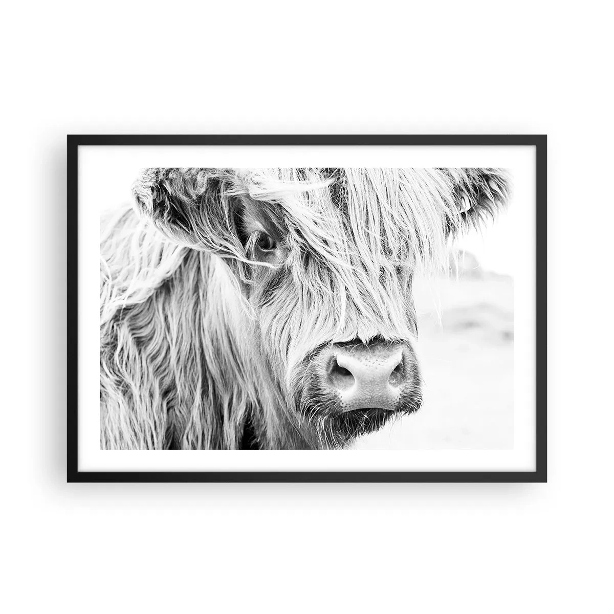 Plakat i sort ramme - Skotsk vildmark - 70x50 cm