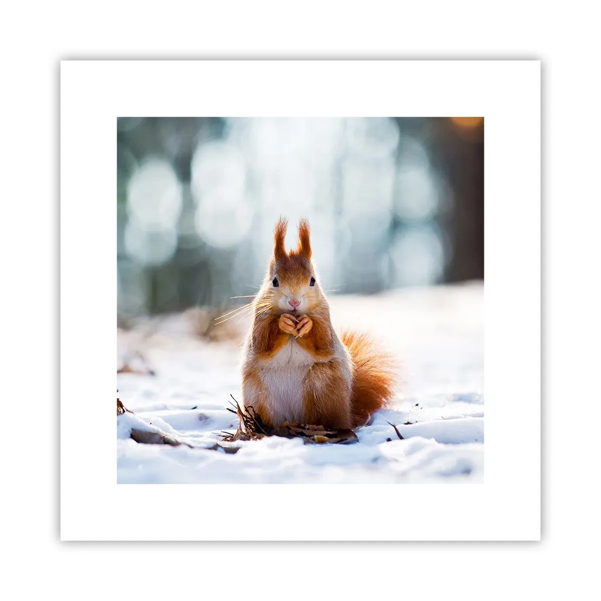 Plakat - Og hvad kigger du på? - 30x30 cm