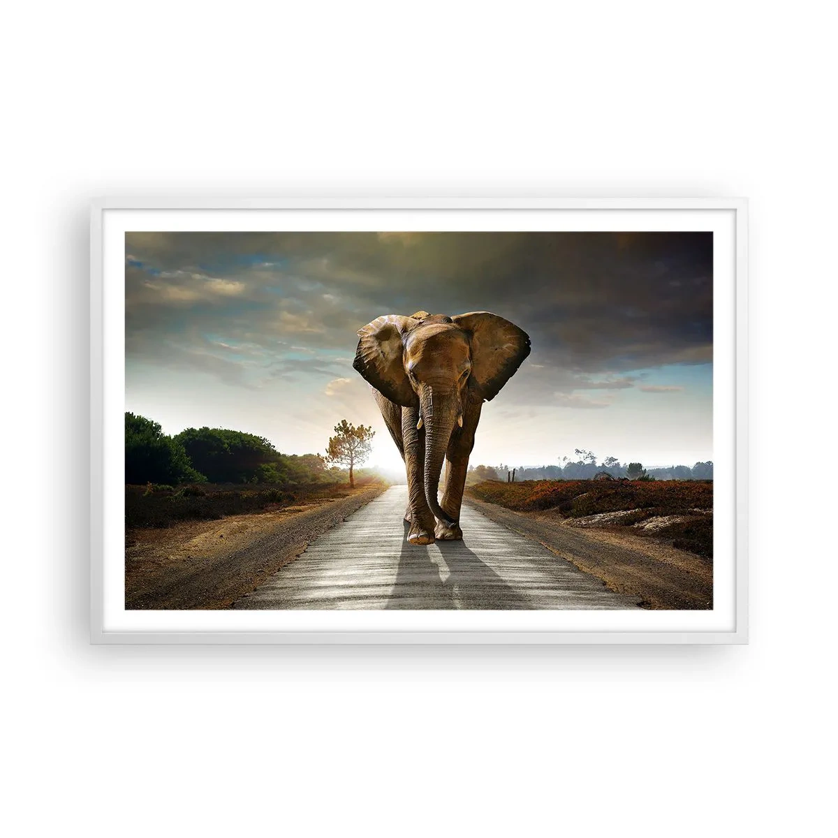 Plakat i hvid ramme - Og slet ikke i en porcelænsbutik - 91x61 cm