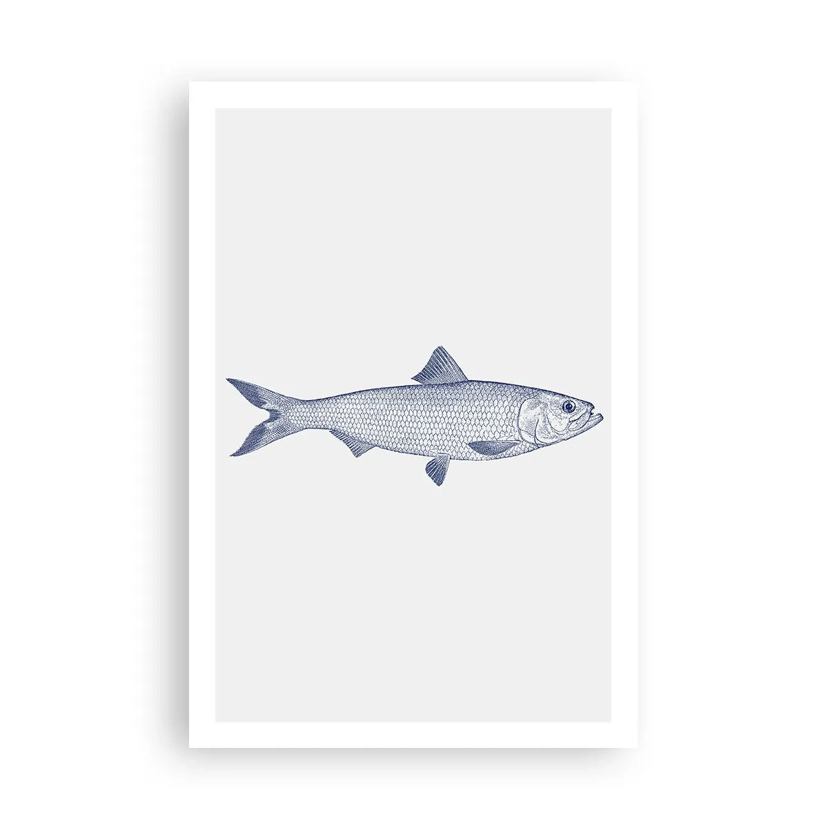 Plakat - Hilsner fra de nordlige have - 61x91 cm