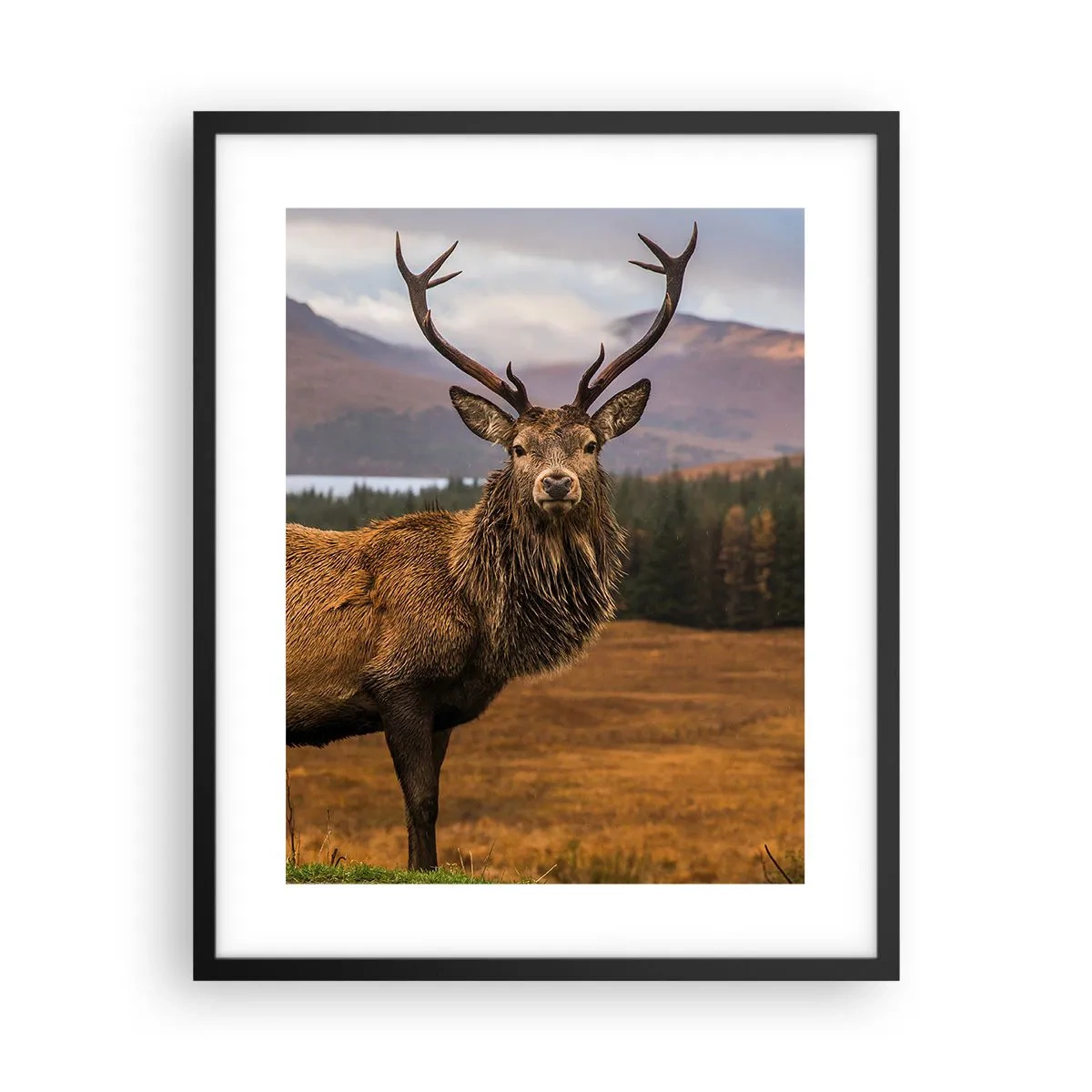 Plakat i sort ramme - Naturens majestæt - 40x50 cm