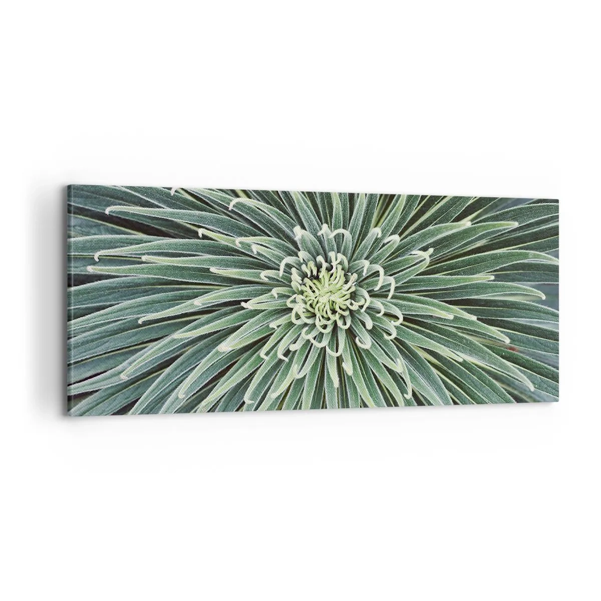 Lærredstryk - Billede på lærred - En stjernes fødsel - 100x40 cm