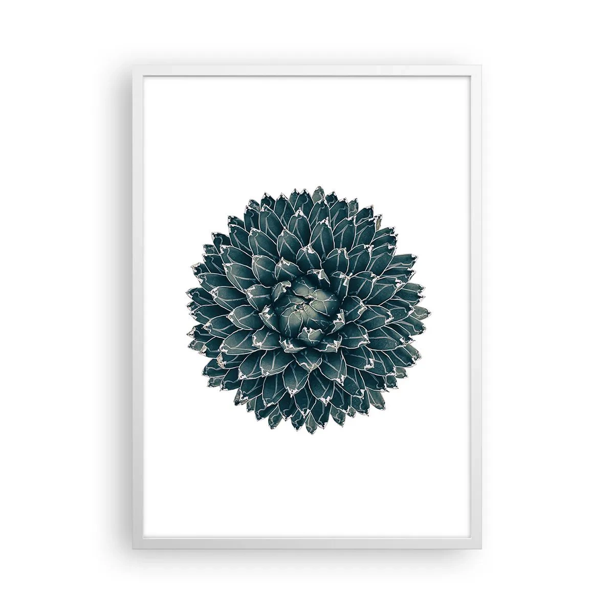 Plakat i hvid ramme - Ørkenstjerne - 50x70 cm