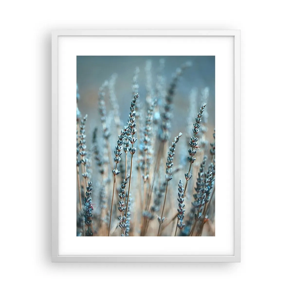 Plakat i hvid ramme - Duftende plet - 40x50 cm