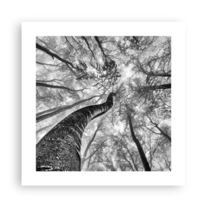 Plakat - Kapløb mod lyset - 40x40 cm