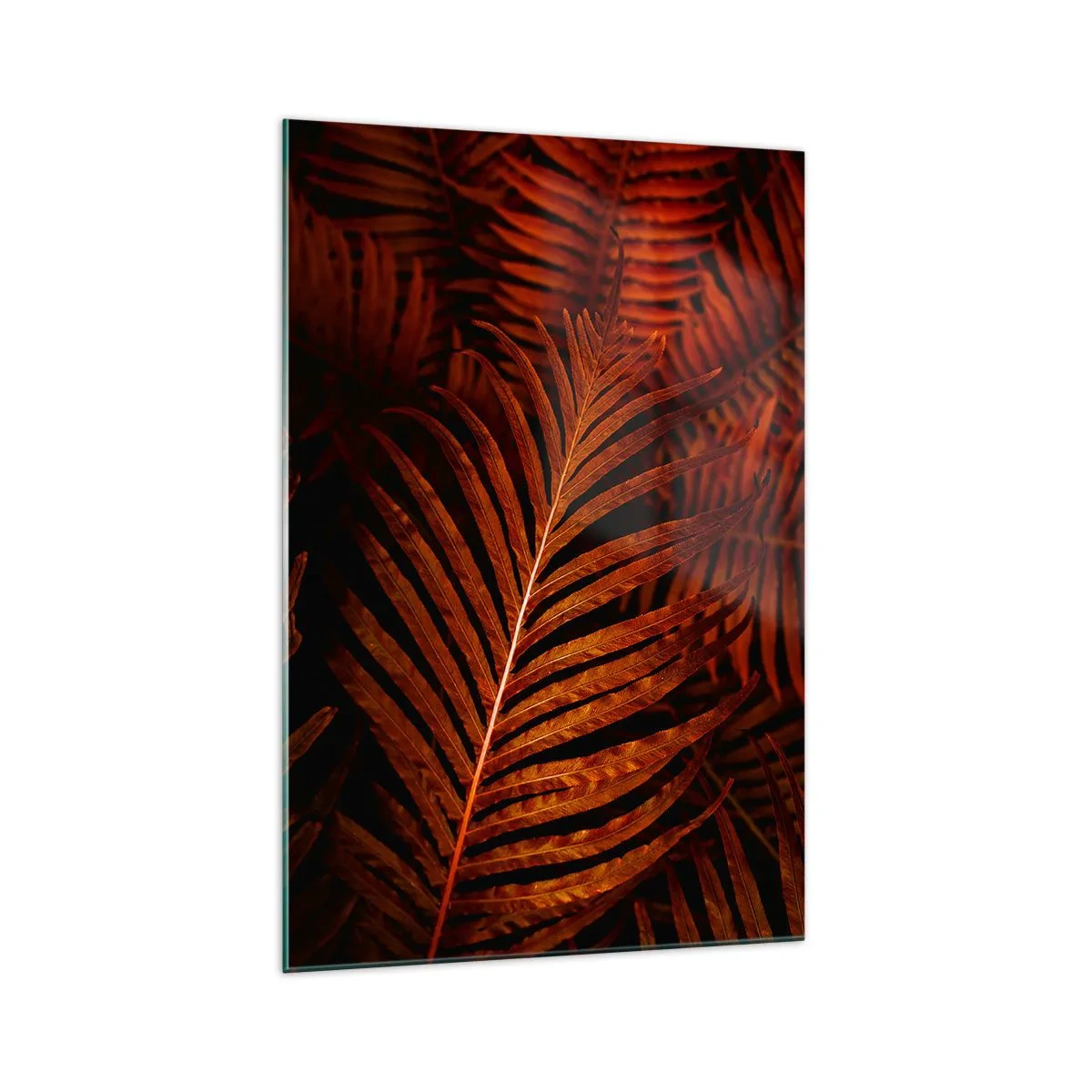 Billede på glas - Livets varme - 70x100 cm